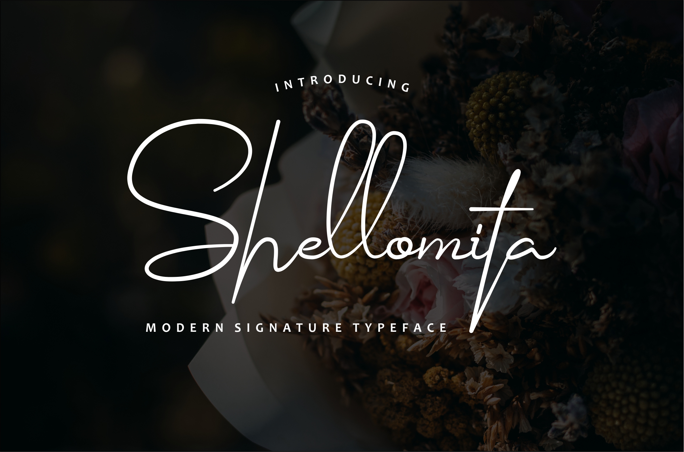 Shellomita Font Poster 1