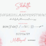 Shikatta Font Poster 5