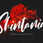 Shintania Font Poster 1