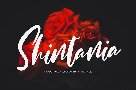 Shintania Font Poster 1