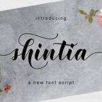 Shintia Font Poster 1