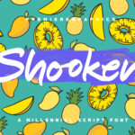 Shooken Font Poster 1