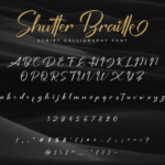 Shutter Braille Script Font Poster 9