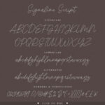 Signaline Duo Font Poster 12