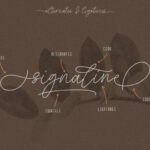 Signaline Duo Font Poster 9