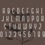 Signaline Duo Font Poster 10