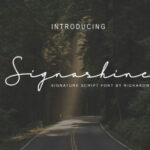 Signashine Font Poster 1