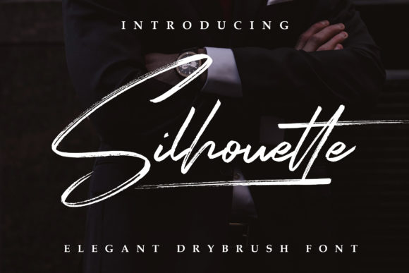 Silhouette Elegant Font