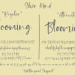 Silver Mind Font Poster 9