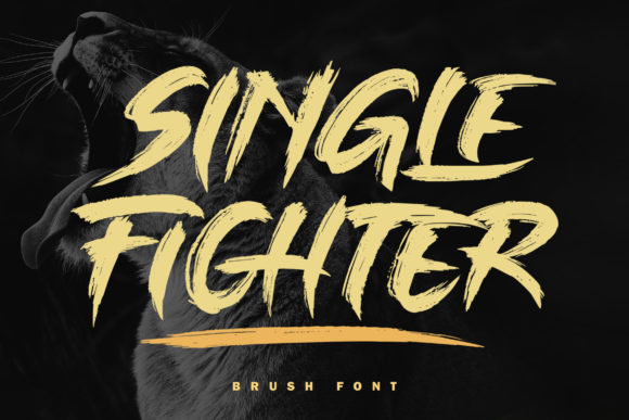Single Fighter Font Poster 1