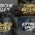 Single Fighter Font Poster 2