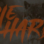 Single Fighter Font Poster 11