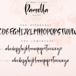 Sister Pamella Font Poster 2