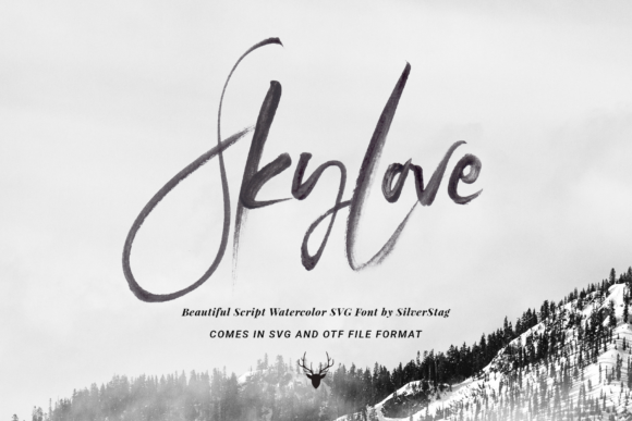 Sky Love Font Poster 1