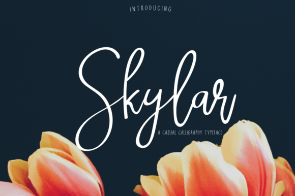 Skylar Font Poster 1