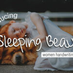 Sleeping Beauty Font Poster 1