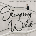 Sleeping Wild Font Poster 1