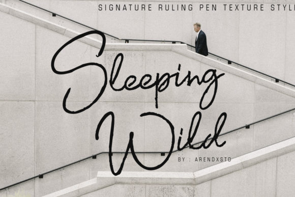 Sleeping Wild Font Poster 1