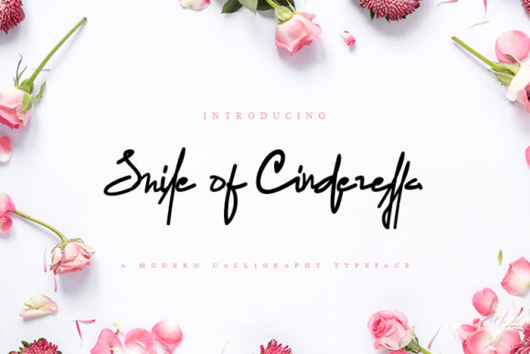 Smile of Cinderella Font Poster 1