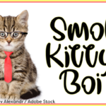 Smol Kitty Boi Font Poster 1