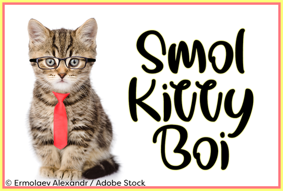 Smol Kitty Boi Font Poster 1