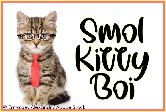 Smol Kitty Boi Font