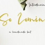 So Lomin Font Poster 1