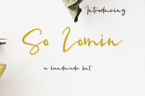 So Lomin Font