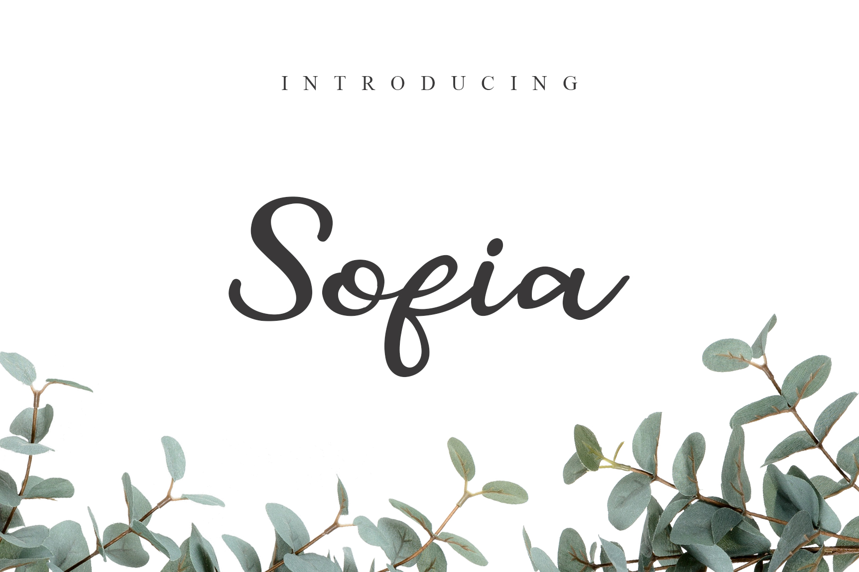 Sofia Font Poster 1