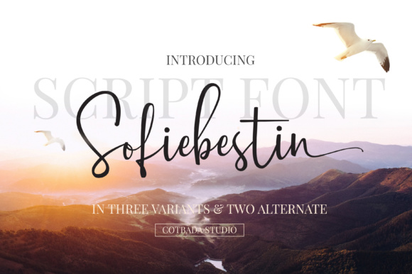 Sofiebestin Script Font