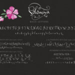 Solomiya Font Poster 10