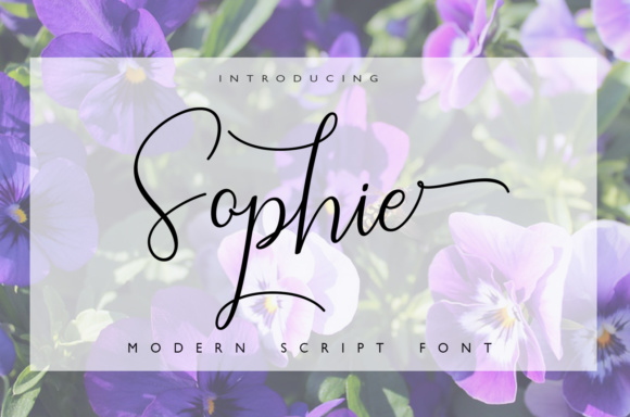 Sophie Font Poster 1