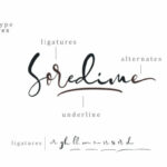 Soredime Font Poster 2