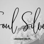 Soul Silver Font Poster 1