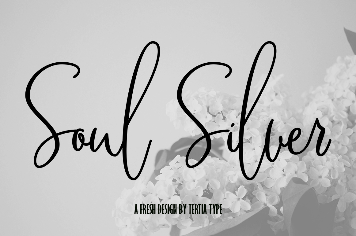 Soul Silver Font Poster 1