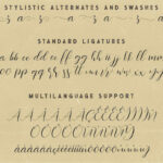Southlove Script Font Poster 7