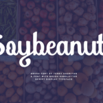 Soybeanut Font Poster 1
