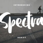 Spectra Script Font Poster 1