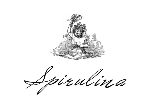 Spirulina Font