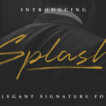 Splash Font Poster 1