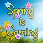Spring is Coming Font Poster 1