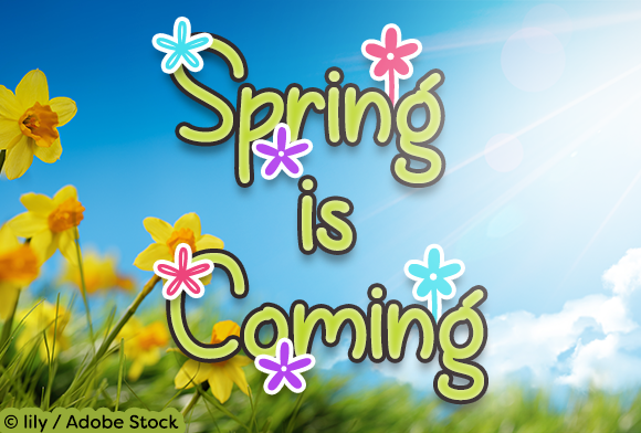 Spring is Coming Font Poster 1