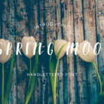 Spring Mood Font Poster 1