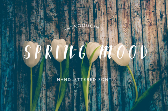 Spring Mood Font