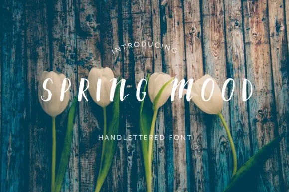 Spring Mood Font Spring Mood Font Poster 1