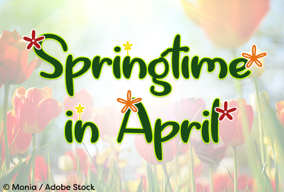 Springtime in April Font Poster 1