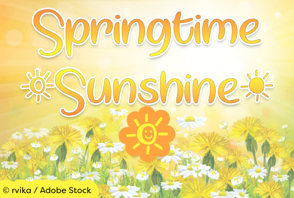 Springtime Sunshine Font Poster 1