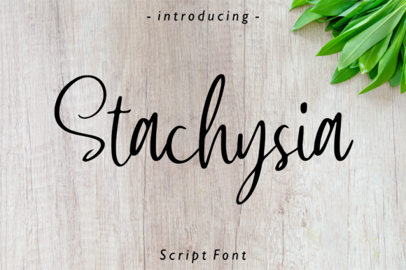 Stachysia Font Poster 1