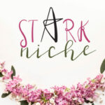 Stark Niche Font Poster 1