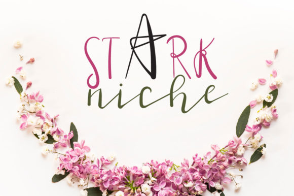 Stark Niche Font Poster 1